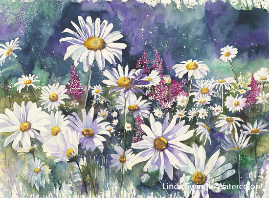 Daisy Bloom